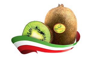 kiwi_sinistra.png